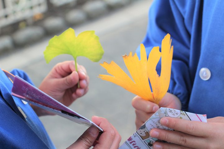 希望幼稚園の年間行事