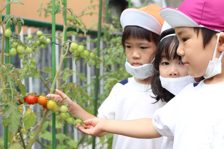 希望幼稚園ブログ