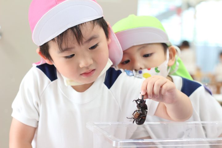 希望幼稚園ブログ