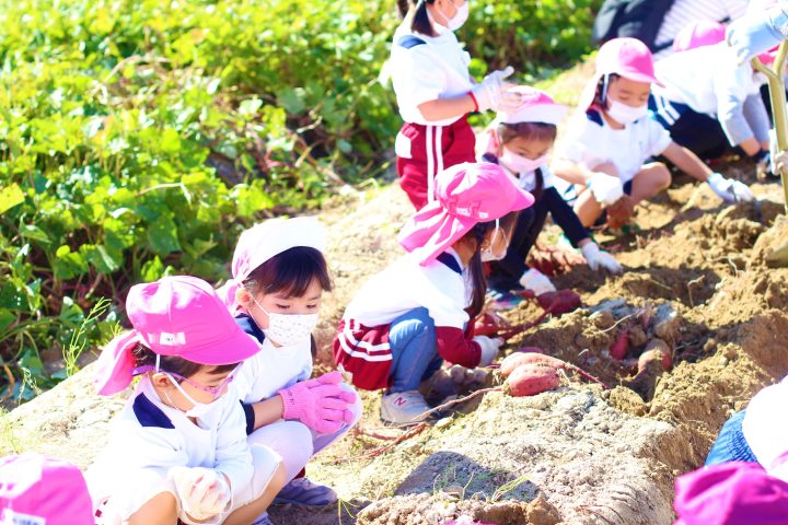 希望幼稚園ブログ