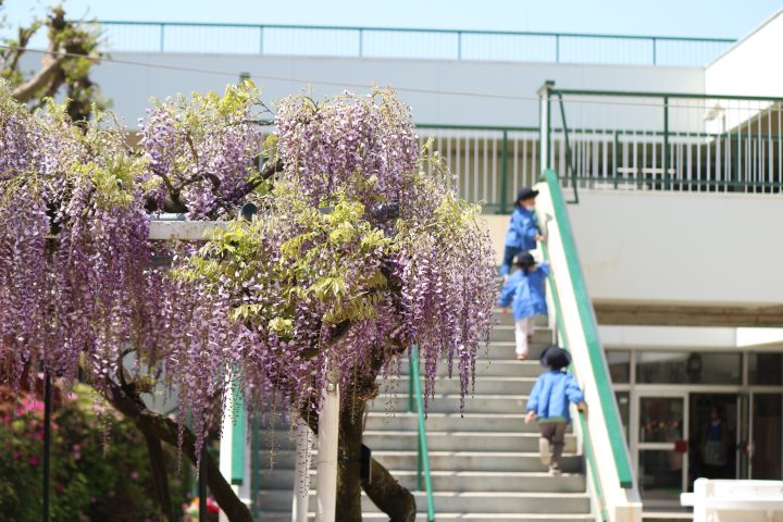 希望幼稚園ブログ