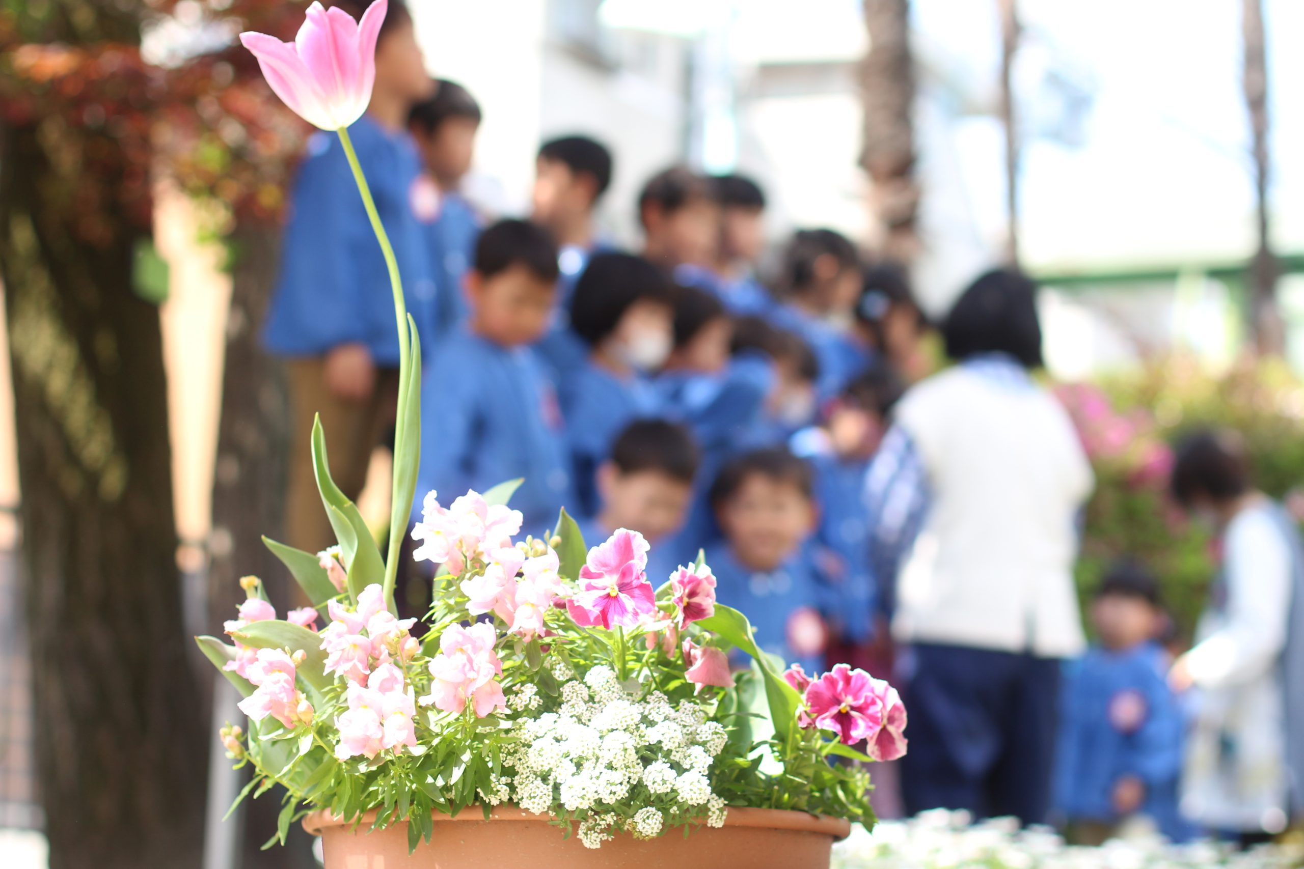 希望幼稚園ブログ