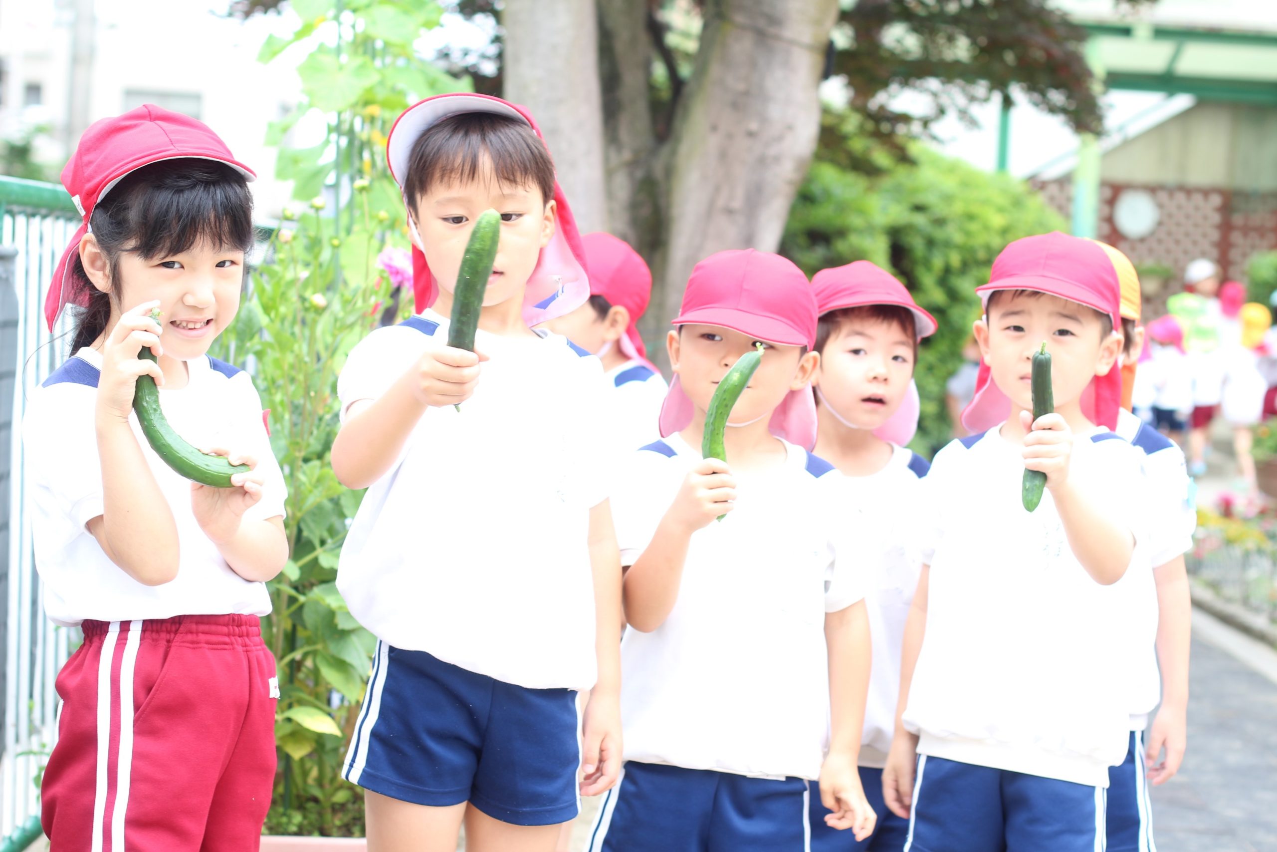 希望幼稚園ブログ