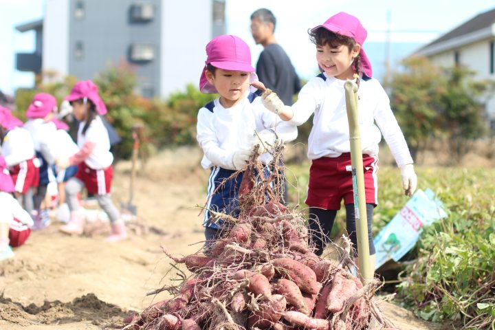 希望幼稚園ブログ