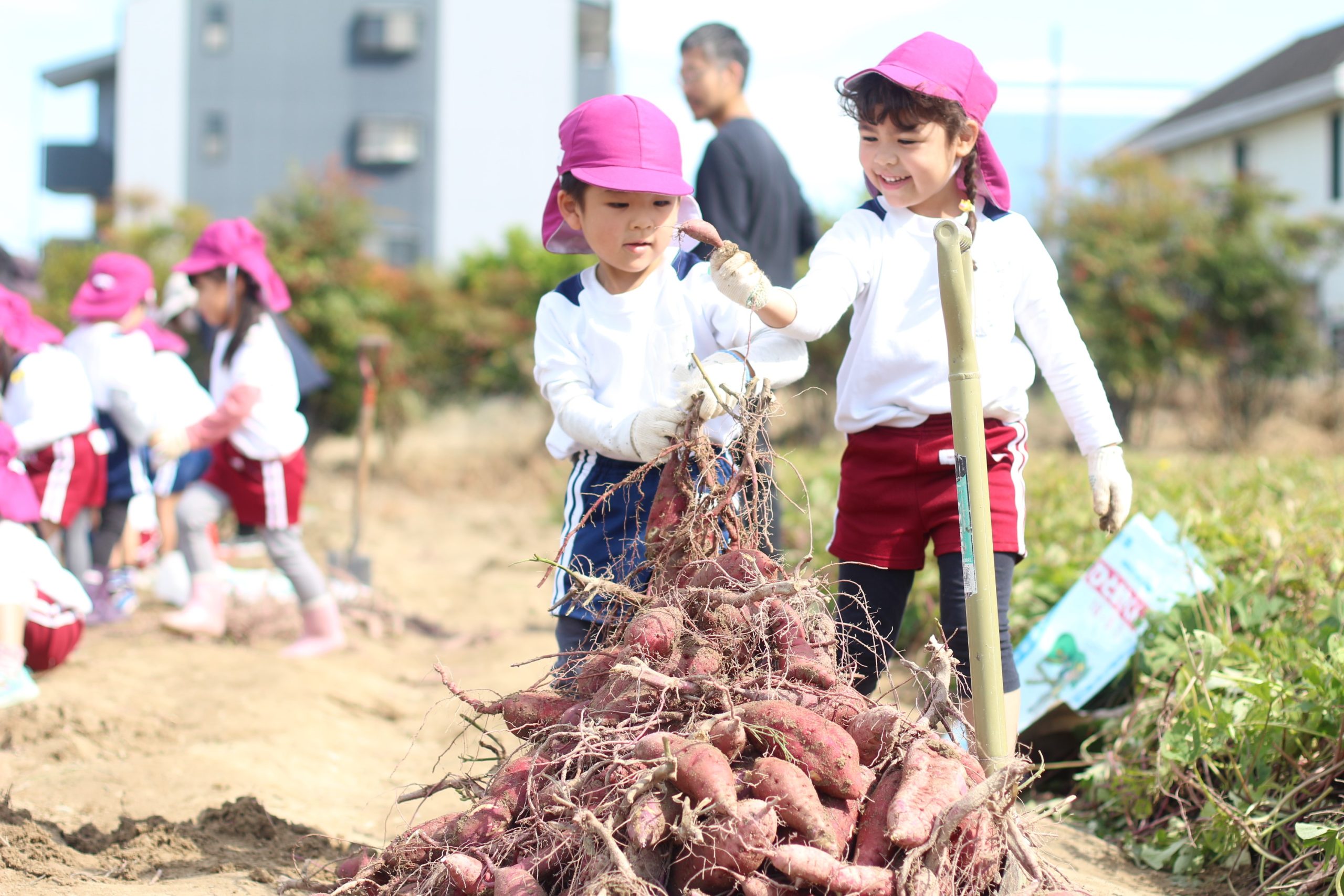 希望幼稚園ブログ