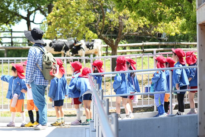 希望幼稚園ブログ
